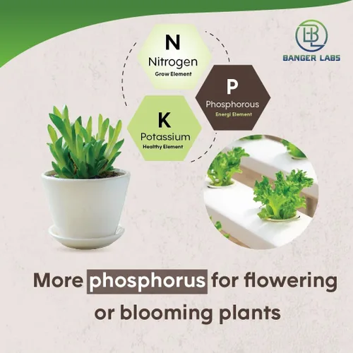 Miniatura 5 de Kit de nutrientes hidropónicos: cultiva, florece, micro alimento para plantas para cultivar verduras, frutas, flores, hierbas para suelo