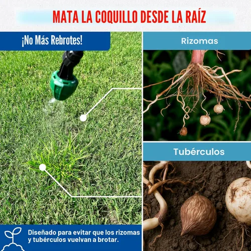 Miniatura 6 de Plus - Herbicida para césped - Mata nuez morada y amarilla para césped con surfactante premezclado, mezcla herbicida segura para césped y mascotas