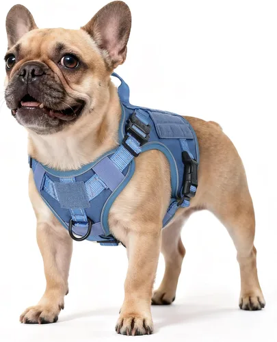 Miniatura 56 de rabbitgoo - Arnés táctico para perros pequeños, arnés resistente para mascotas con asa, chaleco de servicio sin tirones para razas pequeñas, chaleco