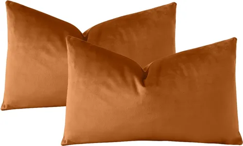 Miniatura 6 de OTOSTAR - Juego de 2 fundas de almohada de terciopelo suaves y decorativas de estampado liso, fundas de cojín lumbar de 16 x 24 pulgadas, fundas