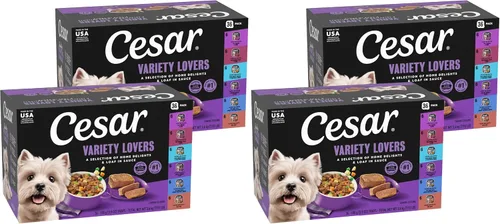 Miniatura 16 de Cesar - Comida húmeda para perros amantes de los filetes, para adultos, comida húmeda para perros con carne real, bandejas de 3.5 onzas fáciles