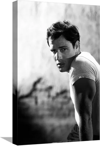 Miniatura 6 de AllPosters Foto de pared Un tranvía llamado deseo, 1951 dirigida por ELIA KAZAN con Marlon Brando (foto b/n), 12x18 Impresión solamente