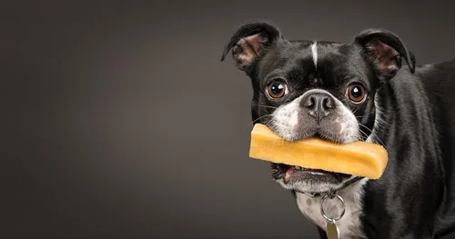 Miniatura 7 de peaksNpaws Yak Cheese - Masticables para perros del Himalaya, con alto contenido de proteínas, golosinas naturales para perros pequeños, sin