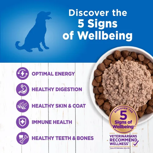 Miniatura 4 de Wellness Simple Limited Ingredient Diet Alimento húmedo enlatado para perros adultos, granos saludables, receta natural, pavo y papa, 12.5 onzas