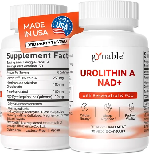 Gynable Urolitina A NAD+ Complejo con Trans-Resveratrol y PQQ – Energía celular y fuerza muscular, suplemento de longevidad para dormir y