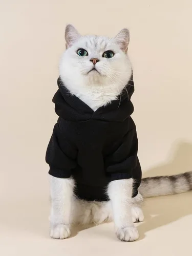Miniatura 2 de QWINEE Sudadera con capucha para gatos con estampado de oso de dibujos animados, transpirable, elástica, con gorro, ropa cálida para gatos y perros