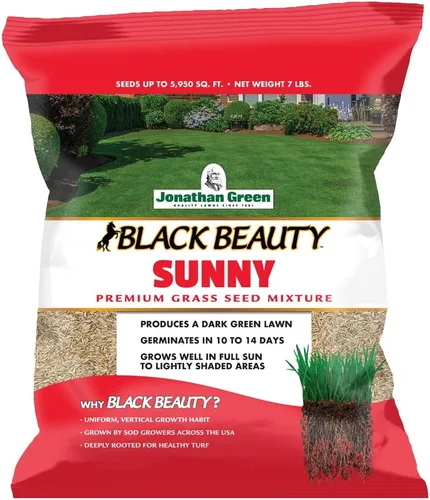 Miniatura 7 de Jonathan Green (10895) Black Beauty Sunny Grass Seed - Semilla de césped de temporada fría (1 libra)