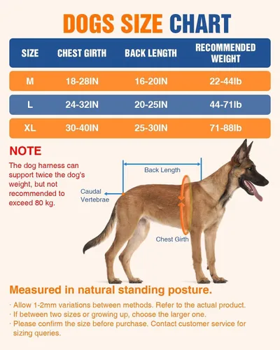 Miniatura 8 de Juego de arnés para correr para perros con cinturón y correa de absorción de golpes Hands-Free Control, Easy to Put On Design for Medium to Large