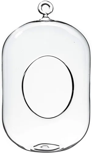 WGV - Terrario de cristal colgante para plantas, ancho 5 pulgadas, altura 8 pulgadas, farol para suculentas de aire para bricolaje, luz de té