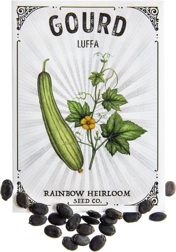 Luffa - Semillas de calabaza para plantar | Semillas sin OMG y reliquia | Paquete de semillas ilustrado con instrucciones de cultivo por Rainbow