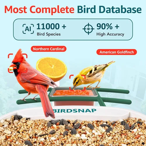 Miniatura 2 de birdsnap® TUC - Comedero para pájaros con cámara 2K HD en vivo con tarjeta de 32 GB, detección y notificación automática de inteligencia artificial