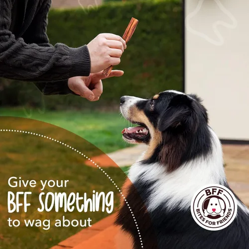 Miniatura 4 de Bites for Friends Bully Sticks Golosinas para perros de 6 pulgadas de larga duración, masticables naturales sin cereales sin gluten, golosinas