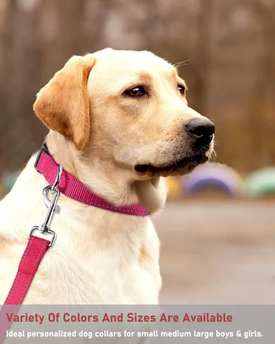 Miniatura 7 de Collar reflectante para perro con hebilla, collares de nailon de seguridad ajustables para perros pequeños, medianos y grandes, rosa intenso