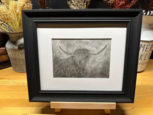 Highland Cow Bull Nature Wildlife Graphite Pencil Art Sketch Drawing Print Picture Limited Edition ~ Titled 'A Wee Bit Irish' by David Allen (11x14