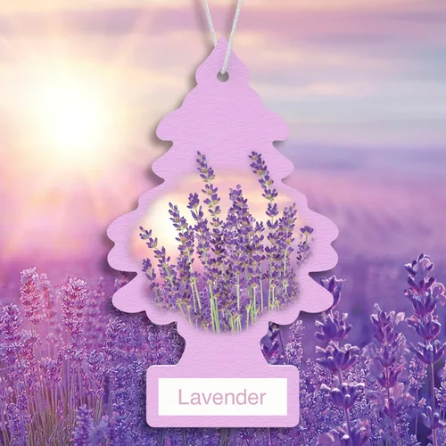 Miniatura 3 de Little Trees - Ambientador de árbol colgante que proporciona un aroma de larga duración para tu hogar o tu auto. Aroma Lavanda, 24