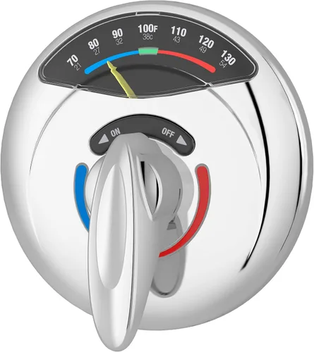 Symmons 4-5000VT-TRM Visu-Temp - Válvula de ducha en cromo pulido (válvula no incluida)