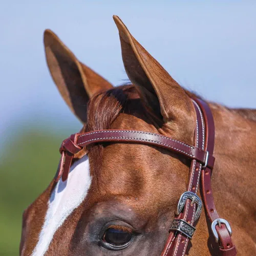 Miniatura 4 de Schneiders Double S Latigo Lined Futurity Browband Headstall Premium Horse Headgear Soft Latigo Lining Adjustable Size Durable Harness