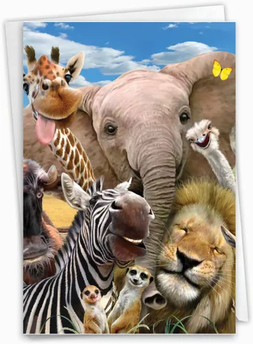 NobleWorks - 1 divertida tarjeta de cumpleaños de animales con sobre - Bonita tarjeta para cumpleaños - Aquí está mirando el zoológico C6639FBDG-US