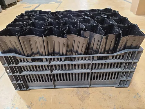 Kit de inicio de 30 plántulas o injertos de árboles, macetas altas con agujeros de drenaje y práctico portador estabiliza los árboles