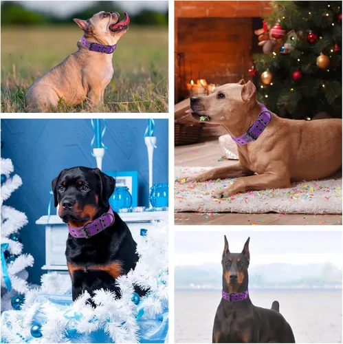 Miniatura 7 de Collar reflectante para perro táctico resistente con mango de control y hebilla de metal para entrenamiento de perros (M, morado)