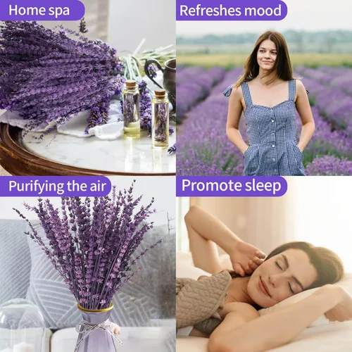 Miniatura 4 de Ramo de flores de lavanda púrpura secas Glicrili - Ramo de lavanda preservada y seca 15-17" para decoración de jarrones en casa, manualidades