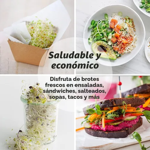 Miniatura 7 de Kit de tarros de germinación de semillas – 2 tarros de masón de boca ancha con tapas de germinación de acero inoxidable 316, bandeja de goteo