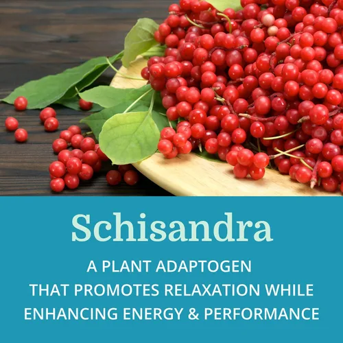 Miniatura 5 de Adrenergy Best Process Alkaline — Apoyo suprarrenal natural con extracto de glándula suprarrenal, adaptógenos, vitaminas y minerales