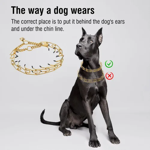 Miniatura 7 de Collar para perro de acero inoxidable, con punta dorada, collar de cadena de metal de acero inoxidable, collar de cadena de metal de acero