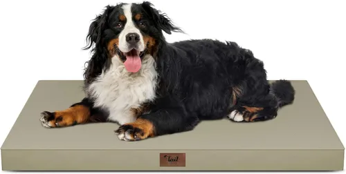 Miniatura 24 de Cama ortopédica de felpa para perros y cachorros medianos, camas impermeables para perros de 30 x 20 pulgadas con funda extraíble lavable, tapete