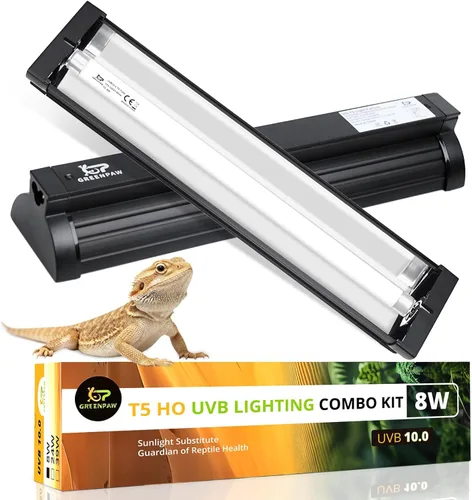 T5 UVB - Kit combinado de lámpara para reptiles 8W 10.0 - Luz HO UVB completa para reptiles con capucha de terrario de 12.44 pulgadas, bombilla UVB