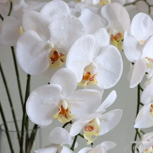 Miniatura 4 de HinyoCo 5 piezas de flores artificiales de orquídea, flores artificiales de Phalaenopsis de 32 pulgadas para decoración del hogar y boda (blanco)