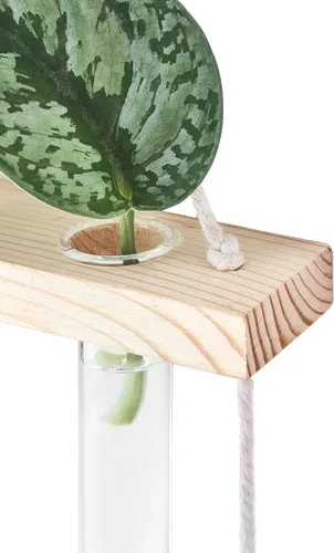 Miniatura 5 de Mkono Terrario para colgar en la pared de 3 niveles con soporte de madera, maceta de vidrio para corte de plantas hidropónicas, decoración de Beige