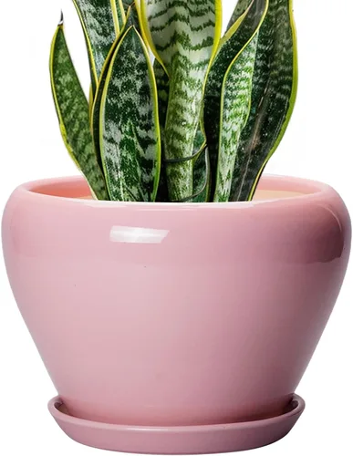 Miniatura 38 de Maceta de Cerámica Moderna con Esmalte para Suculentas con Agujero de Drenaje y Platillo, Maceta Redonda de 6 Pulgadas para Plantas de Flores