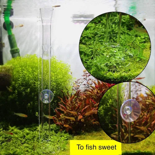 Miniatura 2 de Tubo y plato de alimentación de camarones 2 en 1, bandeja de tubo de alimentación de camarones de cristal transparente para pecera, acuario