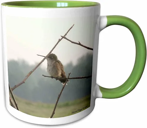 Miniatura 7 de 3dRose Female Hummingbird 11oz Two-Tone Black Mug