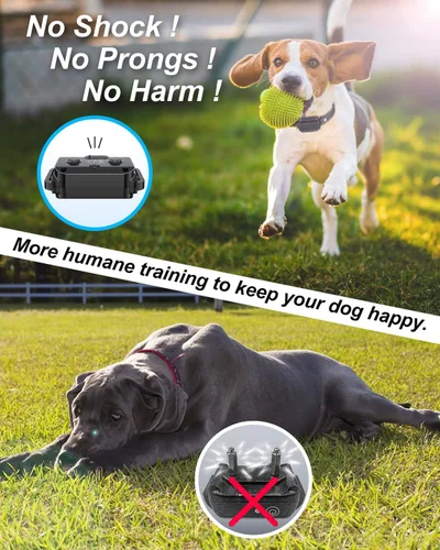 Miniatura 3 de Collar de entrenamiento para perros con control remoto para 2 perros, 10-120 libras, 3300 pies, impermeable, sin golpes, collar de perro vibratorio