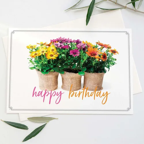 Miniatura 8 de 24 tarjetas de cumpleaños con la versión King James Scripture, Religious Blessings en caja surtido con sobres