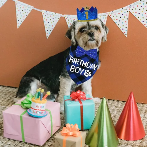 Miniatura 7 de STMK Suministros para fiesta de cumpleaños para perros, sombrero de cumpleaños de perro de varios tamaños con números, bandana pajarita para perros