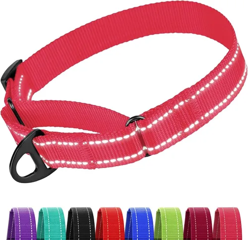 Miniatura 11 de CollarDirect Martingale - Collar de nailon resistente para perros pequeños, medianos y grandes [nailon, estampado, aguamarina, L, 15-20 pulgadas)