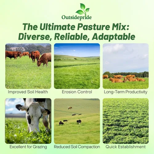 Miniatura 2 de Outsidepride Mezcla de semillas de pastos multiusos – 5 libras. Semillas de pasto perennes, tolerantes a la sequía y de crecimiento rápido