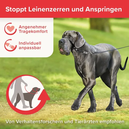 Miniatura 2 de Beaphar Gentle Leader L - Collar para cabeza de perro, 1 pieza, tela, entrenamiento amable y eficaz, sin tirones ni asfixia, razas grandes