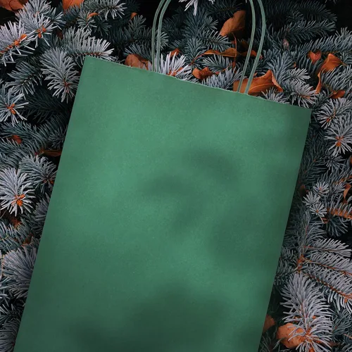 Miniatura 5 de Nexmint Bolsas de papel kraft de 8 x 10.5 pulgadas, bolsas de regalo con asa para cumpleaños, vacaciones, regalos, recuerdos de fiesta, venta al por
