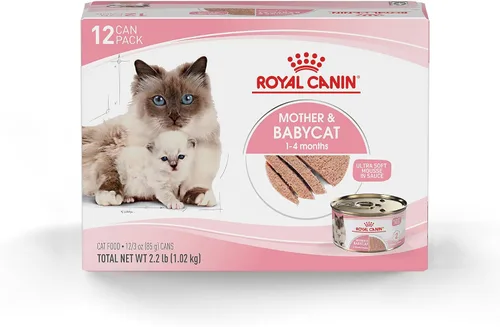 Miniatura 10 de Royal Canin Feline Health Nutrition Mother & Babycat Queen - Mousse en salsa ultra suave para gatos, 3 onzas (paquete de 6)