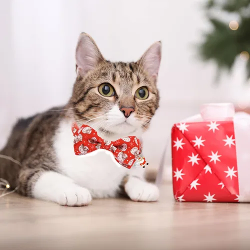Miniatura 8 de Paquete de 2 collares navideños para gatos, collares festivos de Papá Noel y muñeco de nieve con campana y dije, ajustable, linda Navidad para niños
