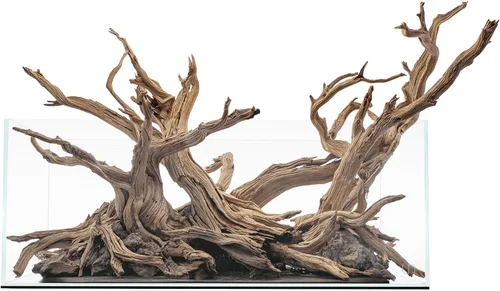 Miniatura 39 de UNS Acuario Ultra Claro Sin Borde - 25.6GAL 97.2L - 23.62x14.17x17.71 60x36x45 CM, Grosor de Vidrio de 6mm, Incluye Alfombrilla Nivelante