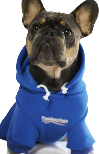 Miniatura 10 de ChoChoCho Sudadera con capucha y suéter para perros – Elegante ropa urbana de algodón para gatos y cachorros en gris – S, M, L