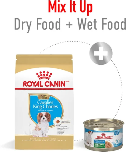 Miniatura 5 de Royal Canin Breed Health Nutrition Cavalier King Charles Spaniel - Alimento seco para cachorros, bolsa de 3 libras
