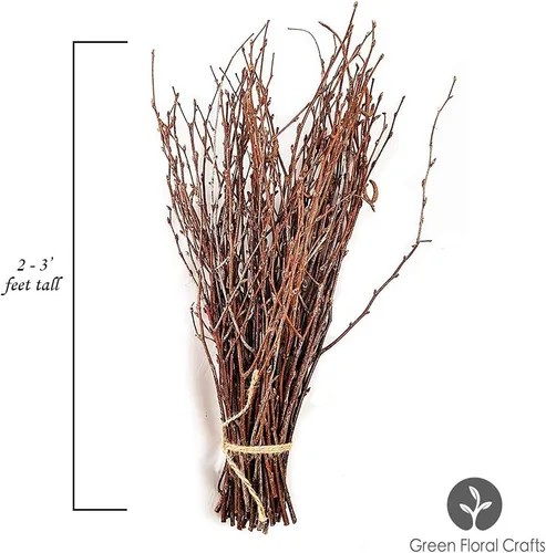 Miniatura 2 de Ramas de abedul natural de 2-3 pies perfectas para jarrones, centros de mesa y arreglos (natural, 12-15 tallos)