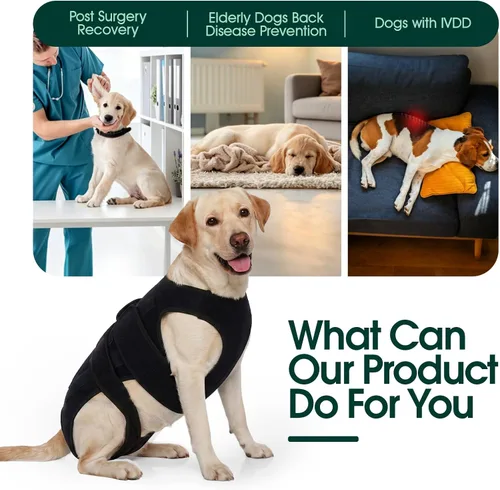 Miniatura 2 de Soporte de espalda para perro para IVDD y recuperación espinal, chaleco de apoyo transpirable ajustable para perro, protector lumbar para perros