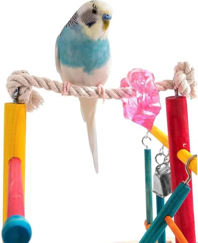 Miniatura 5 de Penn-Plax Centro de Actividades para Aves – Perfecto para Aves Jóvenes o Pequeñas Varios